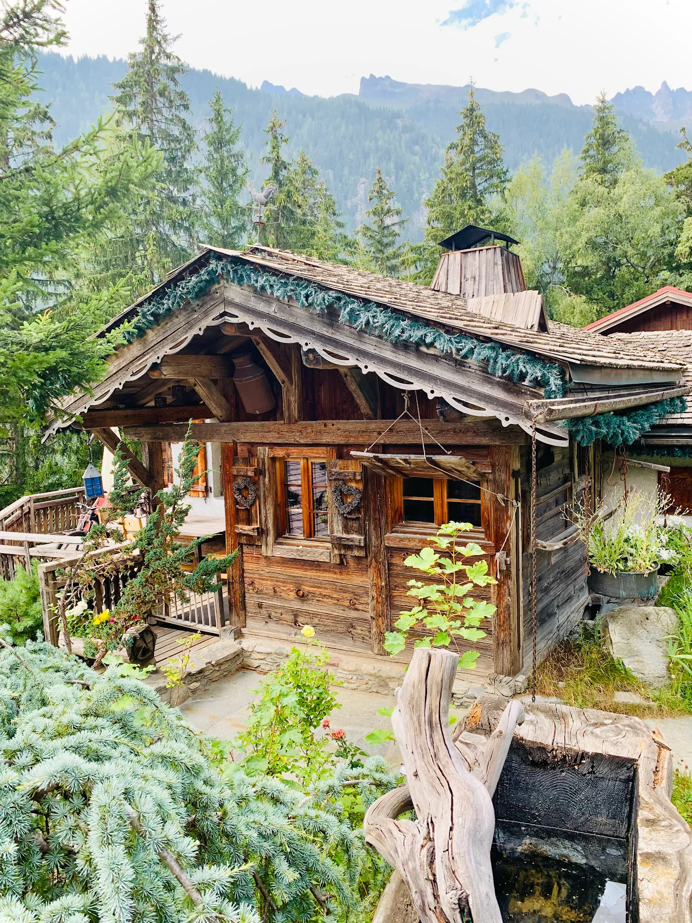 Vue extérieure d'un chalet de luxe en bois authentique niché dans un paysage verdoyant de montagne avec des sapins et un bassin en pierre.